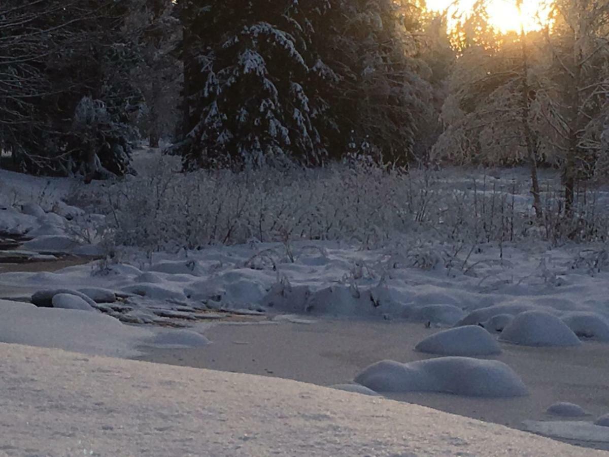 فندق Seinaejoen Leirintaealue Seinäjoki المظهر الخارجي الصورة